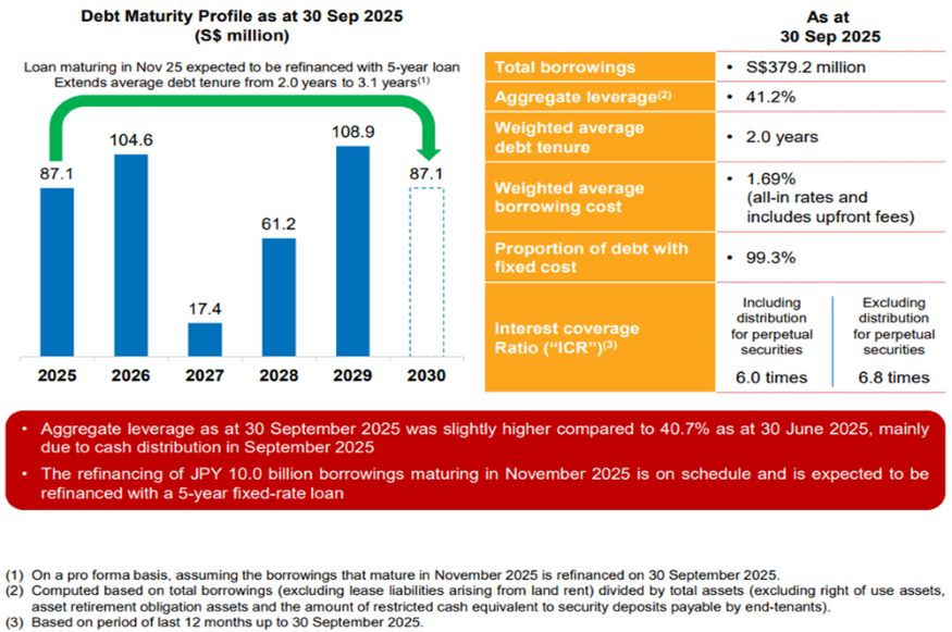 DHLT - Debt maturity profile.jpg