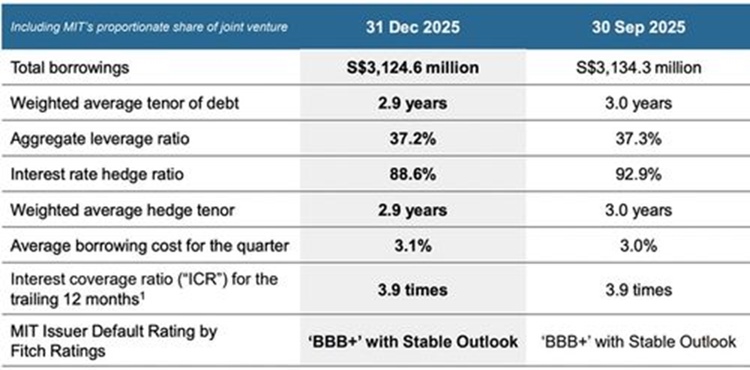 MINT Leverage and Borrowing Cost Overview