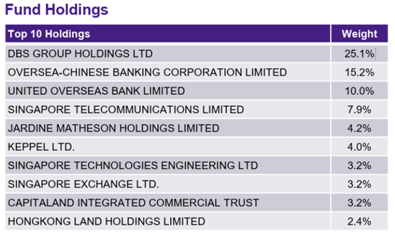 Amova Singapore STI ETF top holdings overview