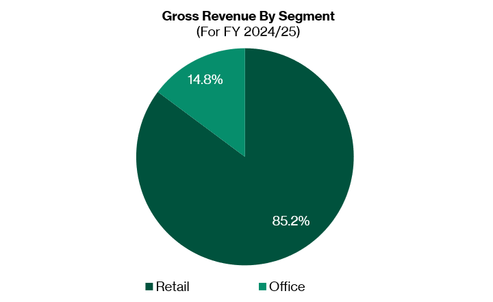 Gross revenue by segment