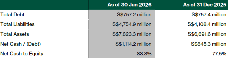Hong Leong Asia balance sheet summary