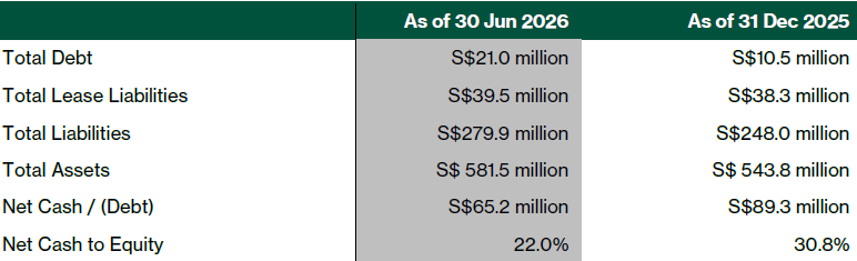 Pan-United balance sheet summary