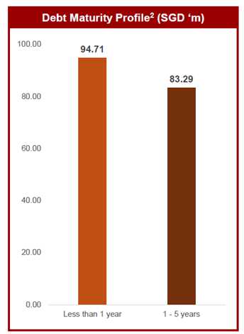 Debt maturity profile