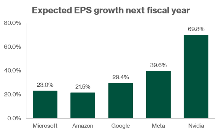 Big Tech Firms Project Strong EPS Growth