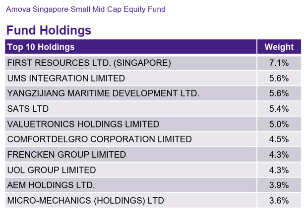 Amova Singapore Small Mid Cap Equity Fund July 2026 Factsheet