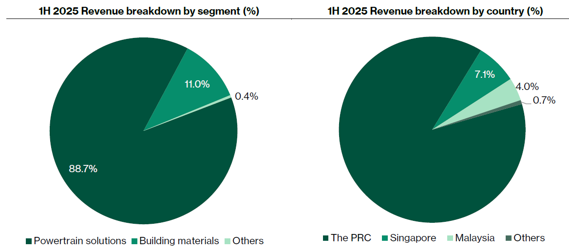 1H 2025 Revenue Breakdown: Segment vs. Country (%)