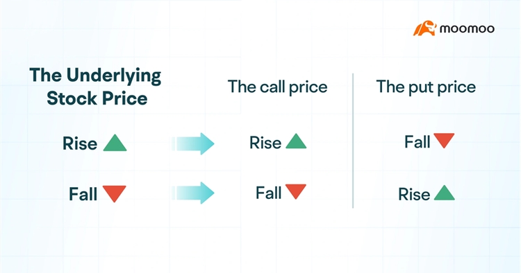 moomoo Call Put Price Relationship