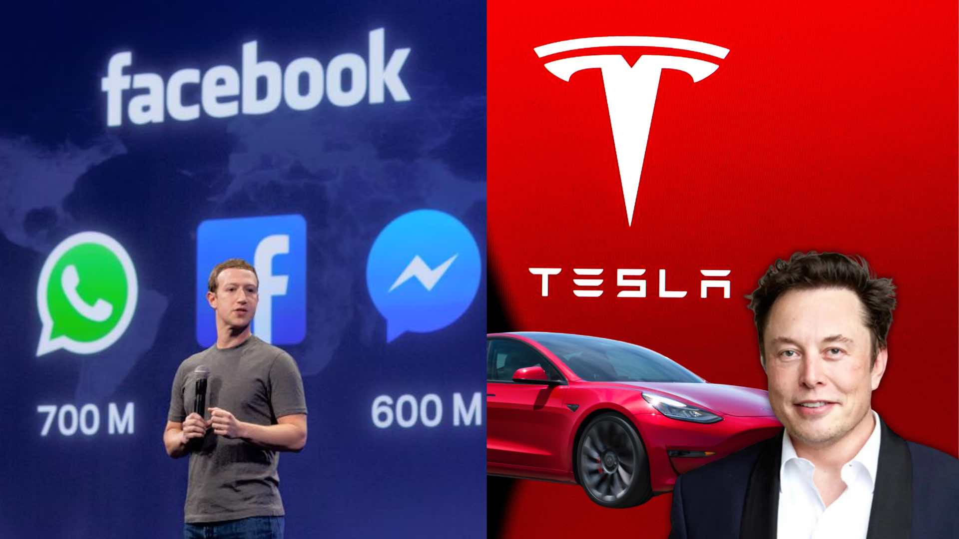 Insights ETFs Growbeansprout