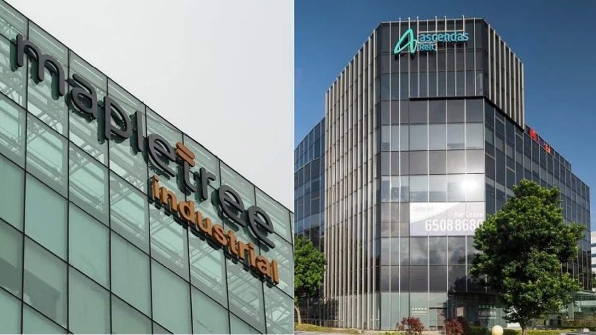 singapore blue chip reits near 5 year low and high dividend